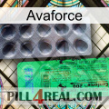 Avaforce new04